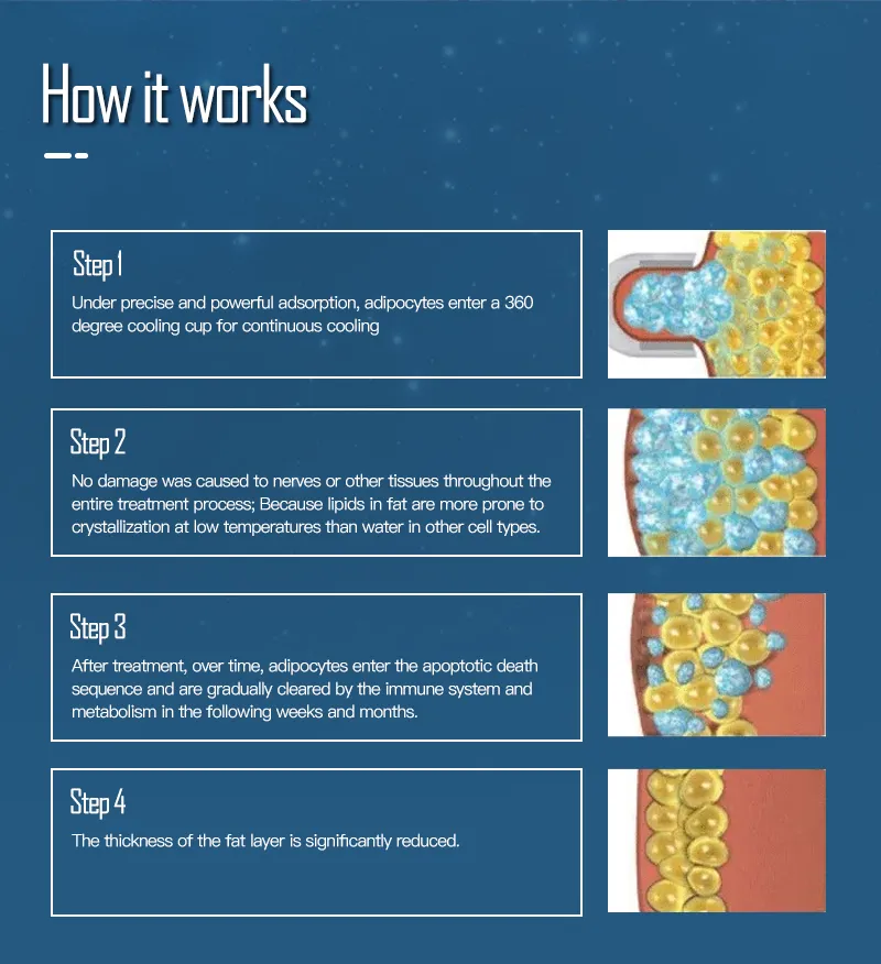 Process 4