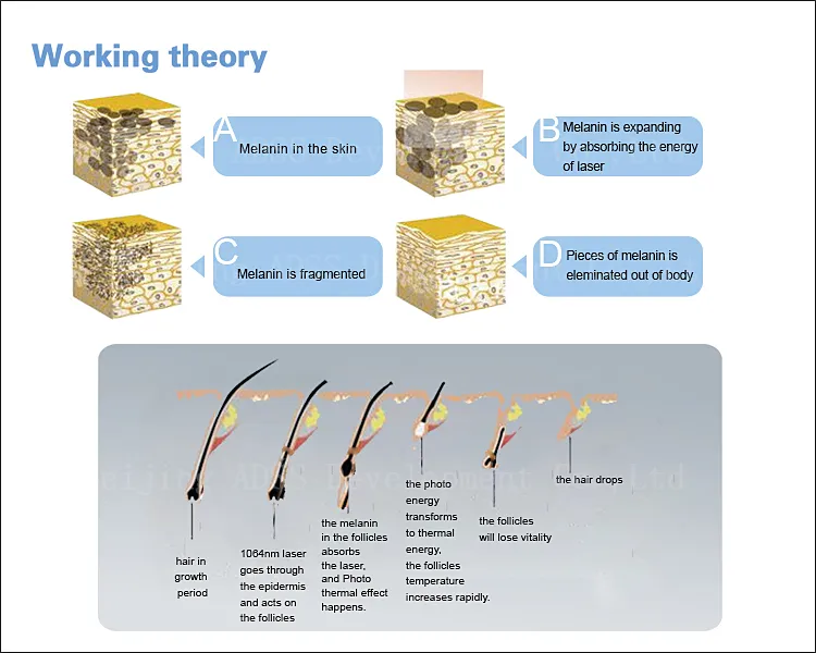 Laser Theory