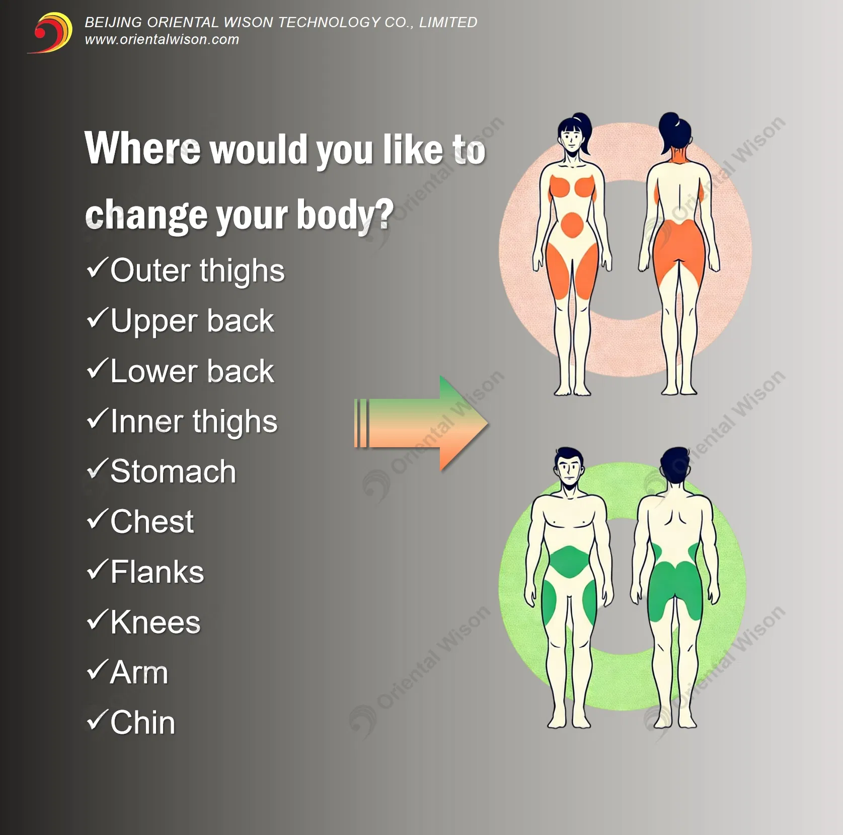 Treatment Interface