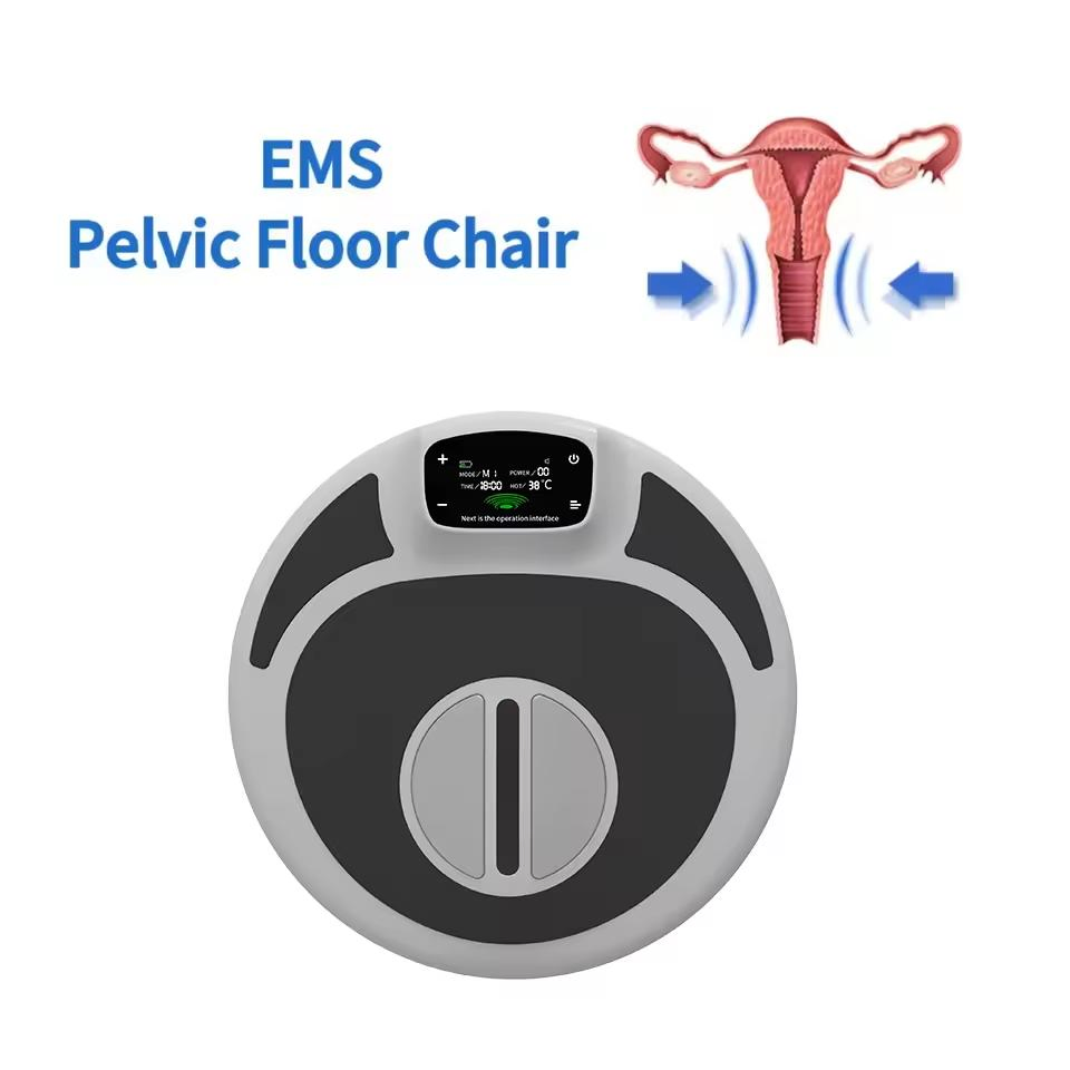 2024 New Arrival Home Use EMS Pelvic Floor Muscle Stimulator