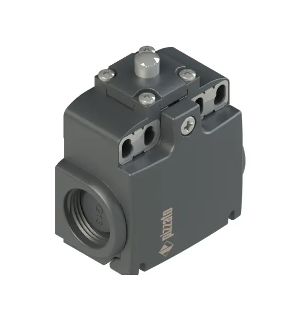 Custom Pizzato Position switches for standard applications FX Series FX 1001-M2 Exporter, Products