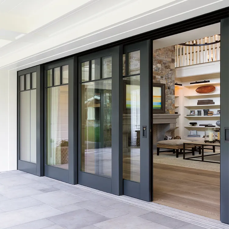Modern Glass Door