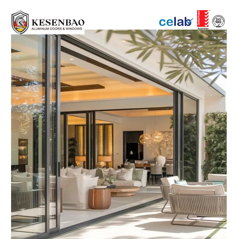 As2047 Customization Double Tempered Glass Black Aluminium Patio Sliding Door with Fly Screen