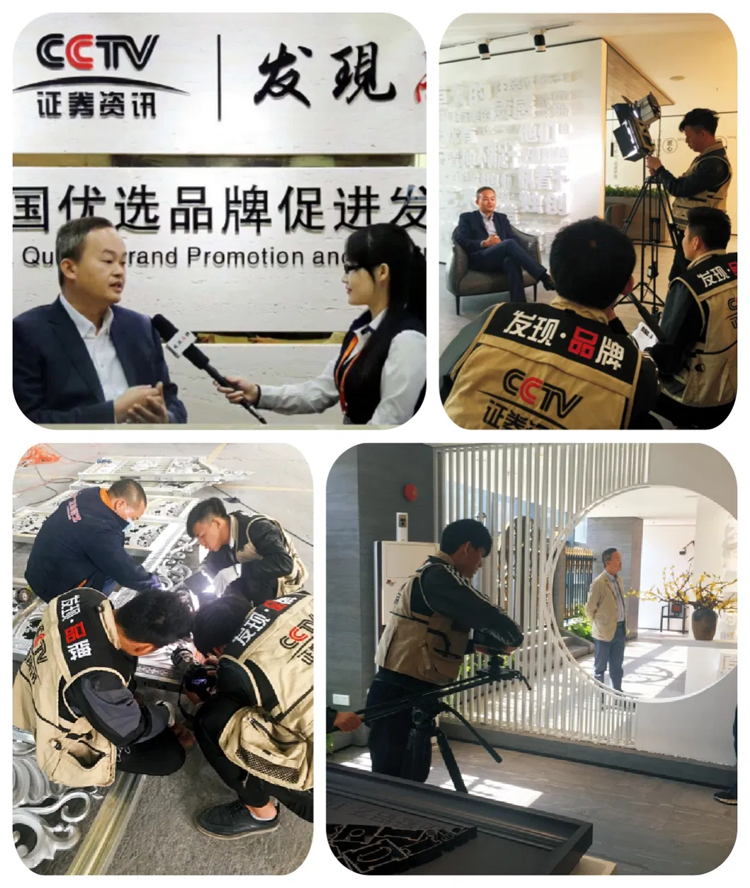 Brand Recommendation