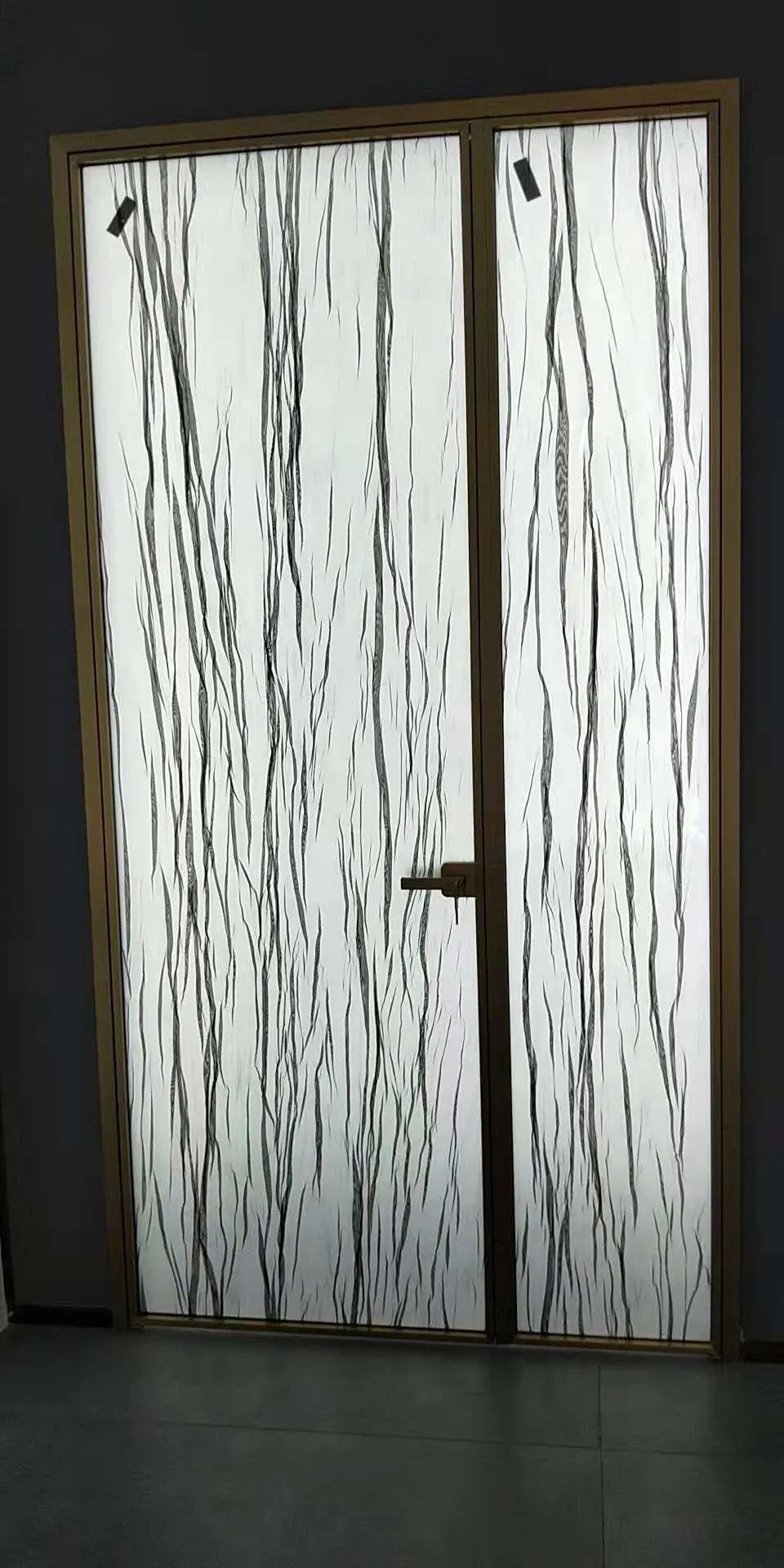 Modern Aluminum Door
