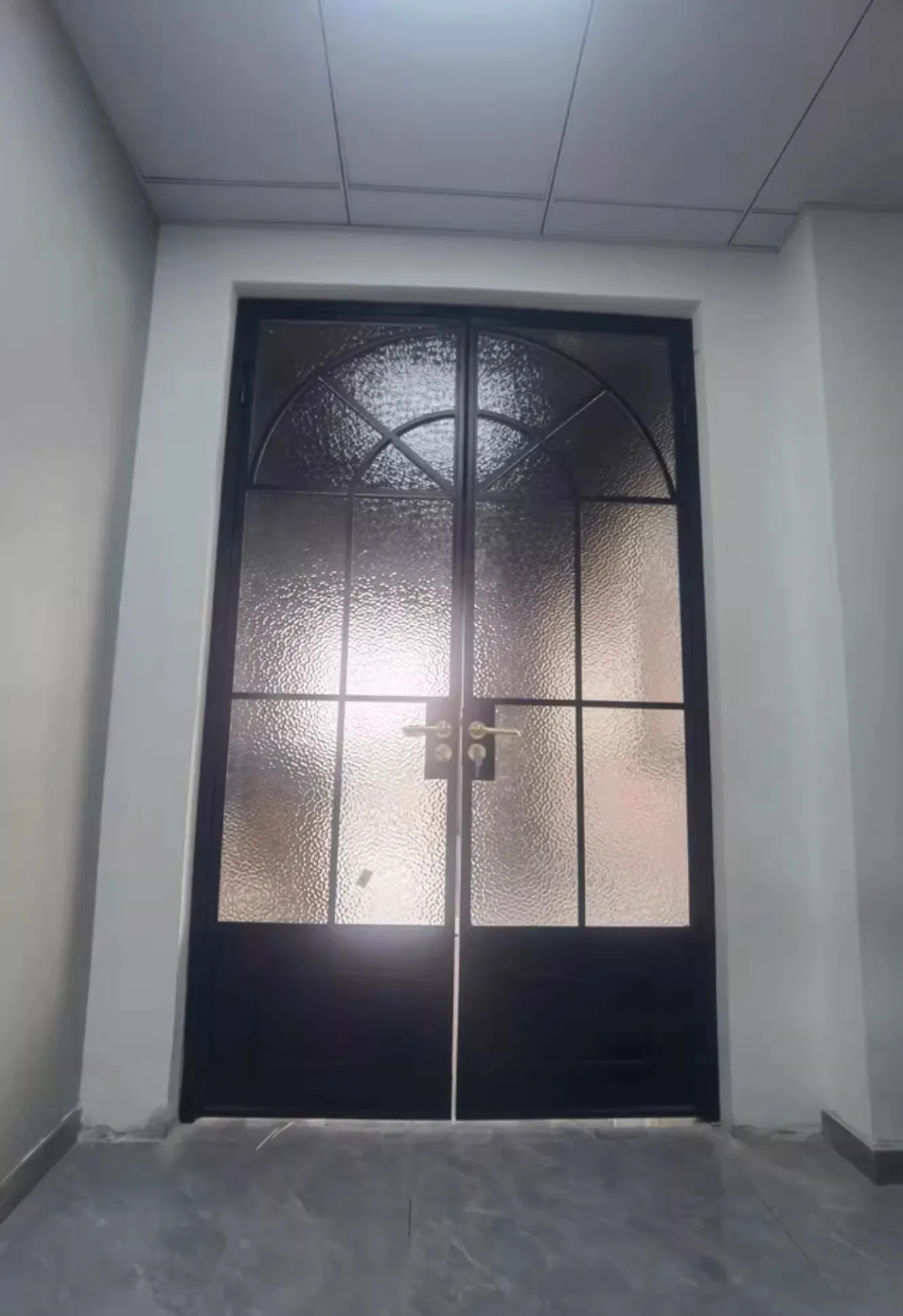 Arched Top Crittall Style Industrial Chic Style Internal Glazed Door for Shopfront