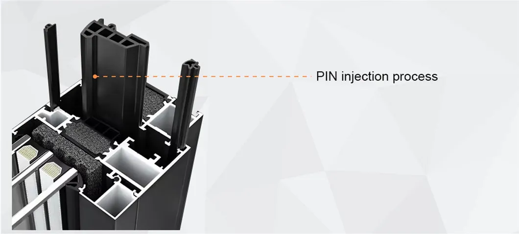 PIN injection process