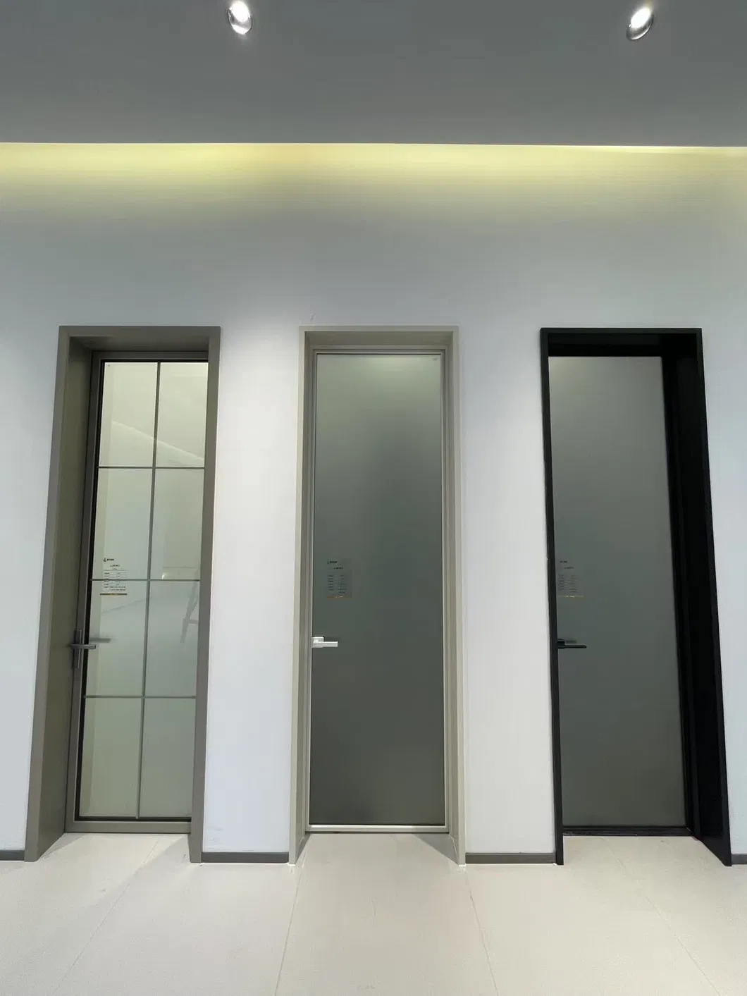 Aluminum Swing Door