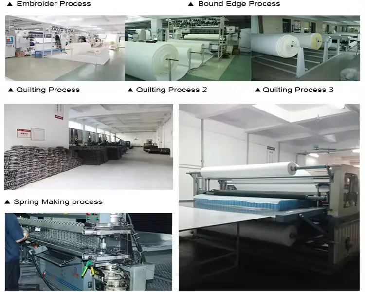 Production Line