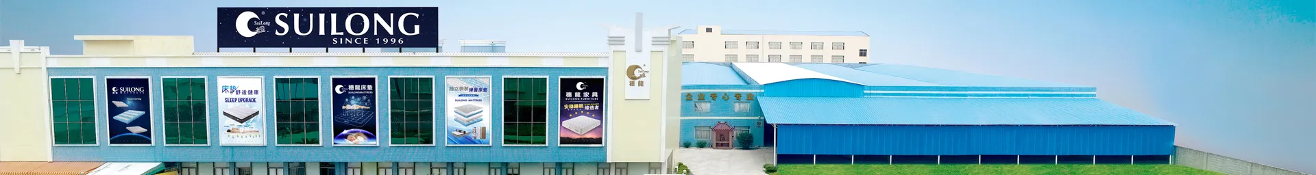مرتبة لآلام الظهر