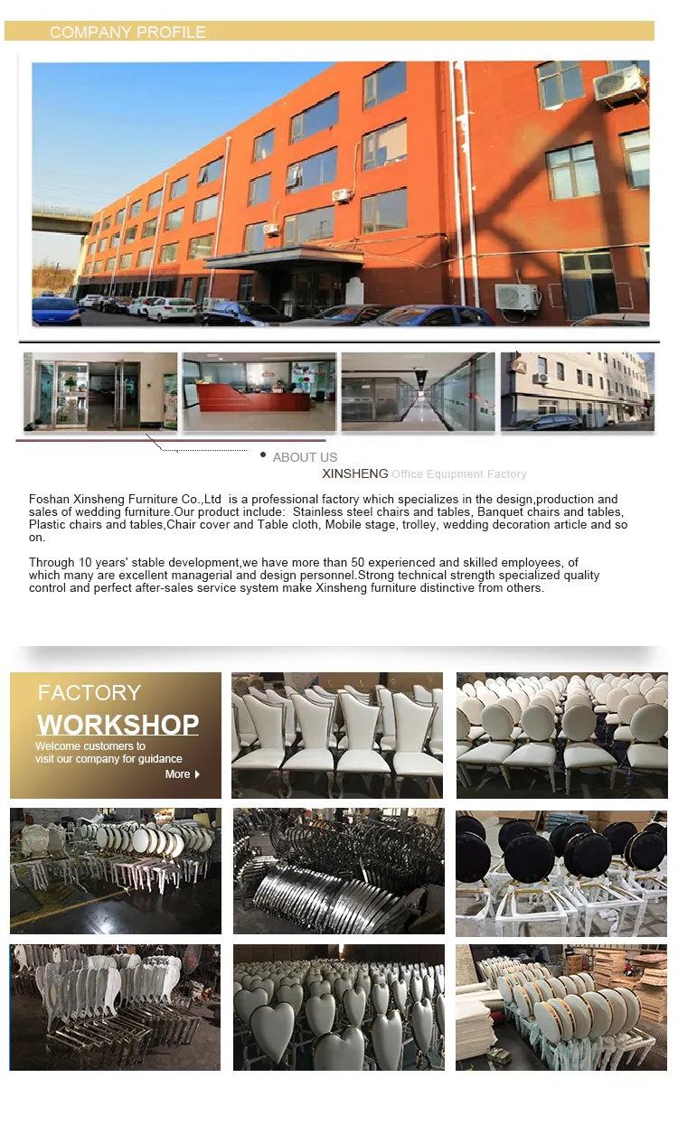 Company Introduction