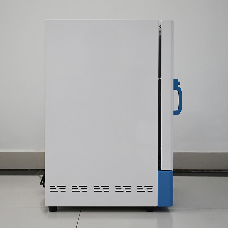 Vertical SUS304 Forced Air Drying Oven Hot Air Sterilizing Drying Oven