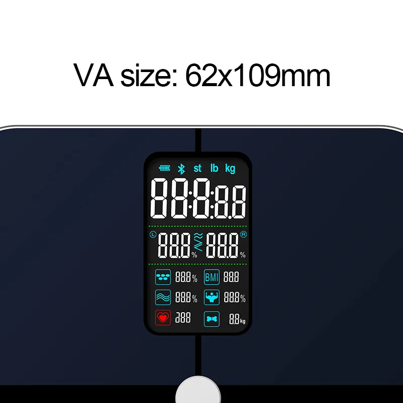 Smart Scale View 2