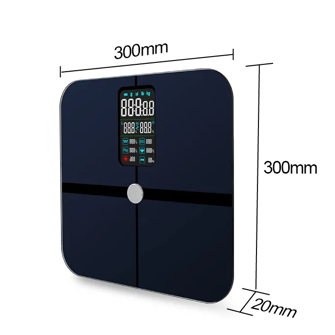 Smart Scale View 3