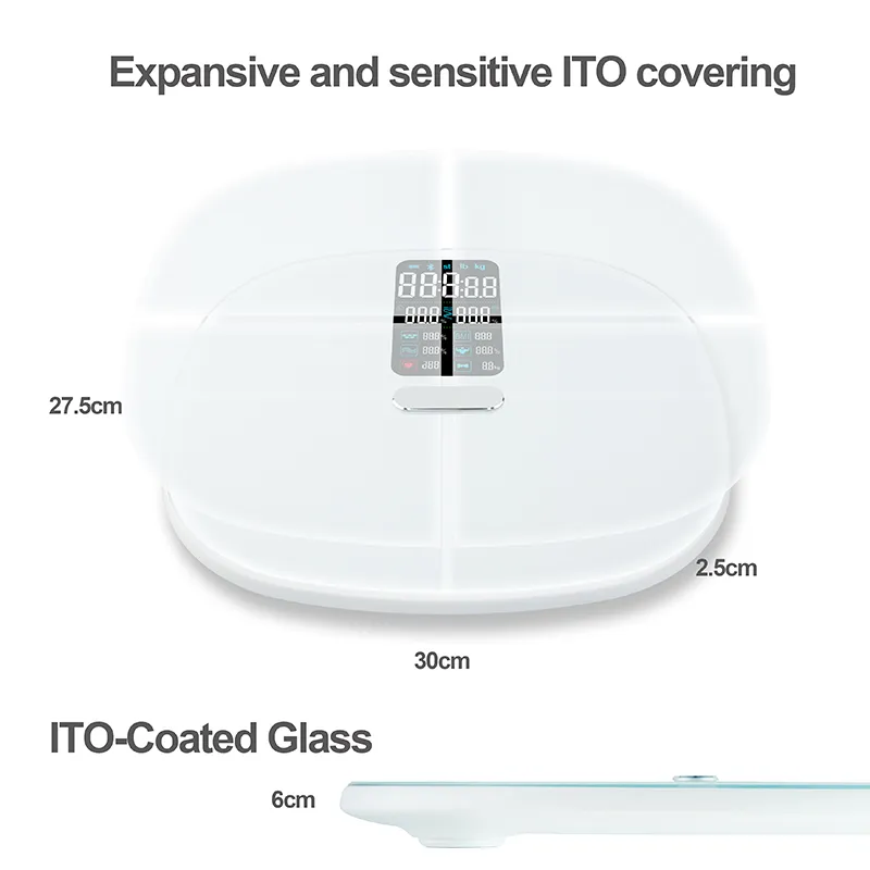 Bluetooth Scale View 3