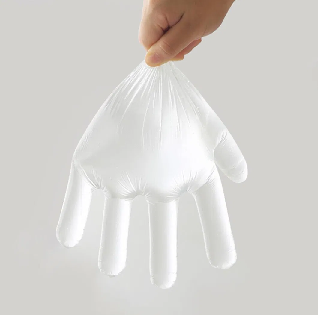 PE Gloves