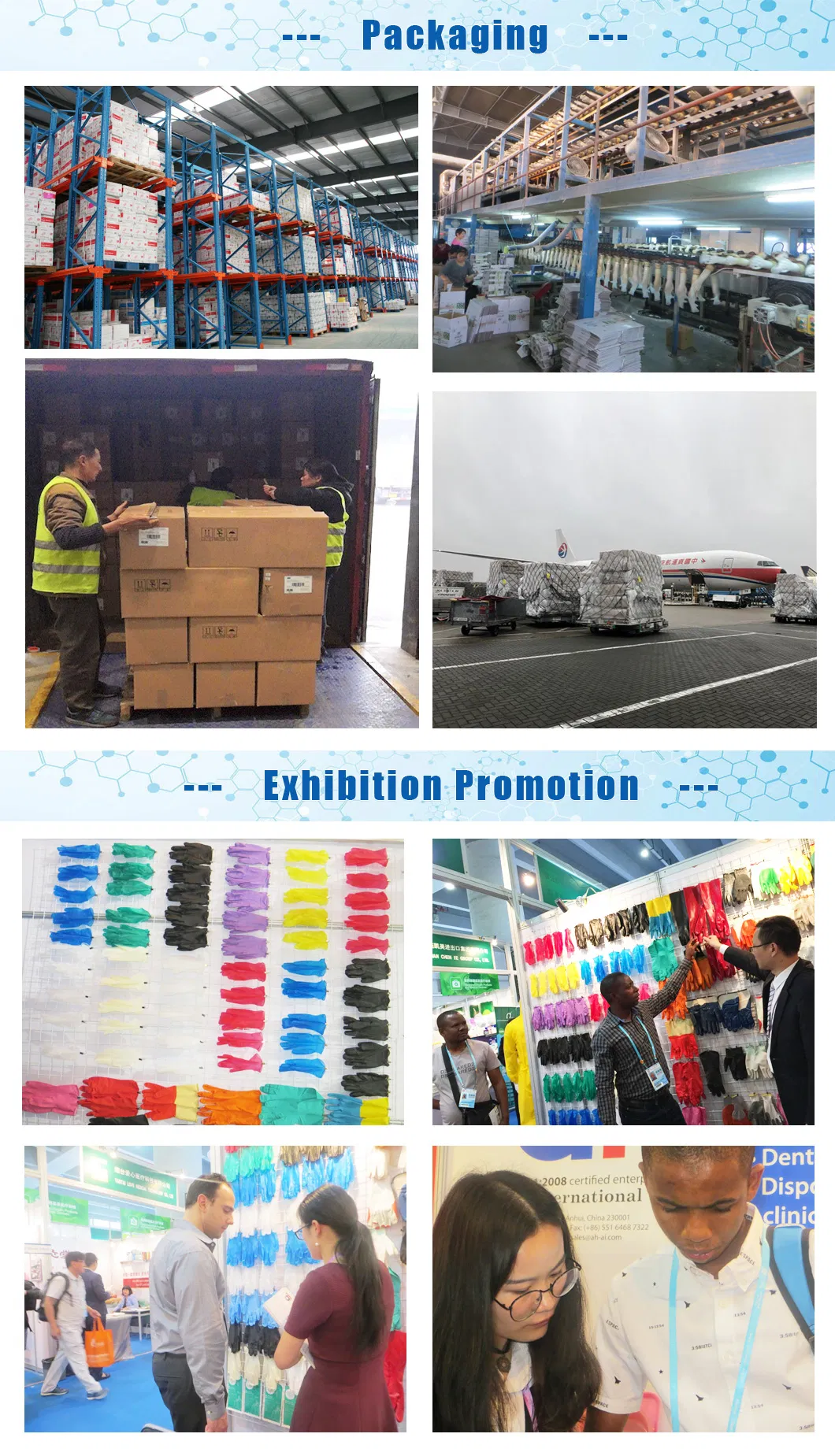 Safety Examination Gloves