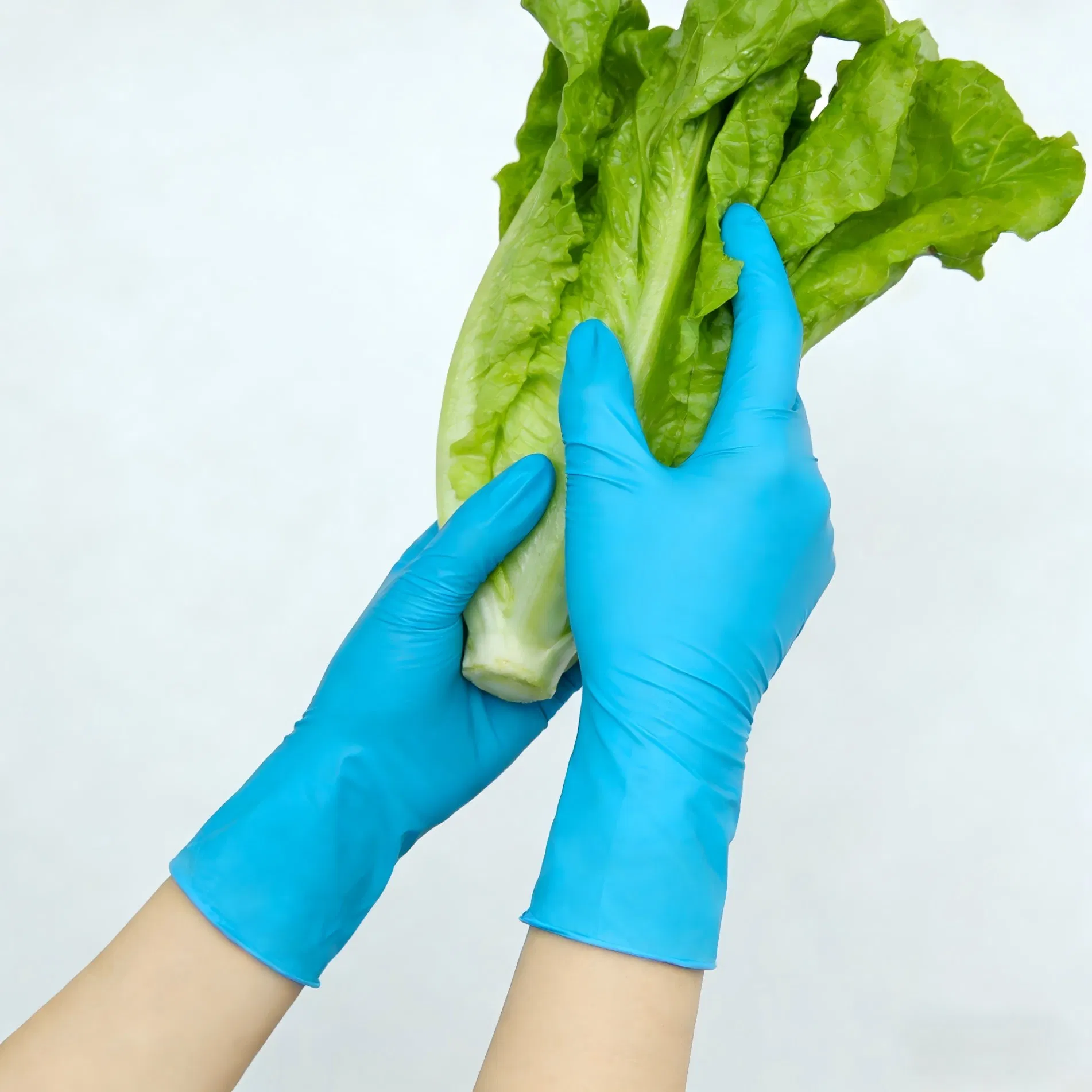 Food Grade Blue Vitrile/Hybrid/Vinyl Nitrile Blended Gloves for Food Processing, Restaurant