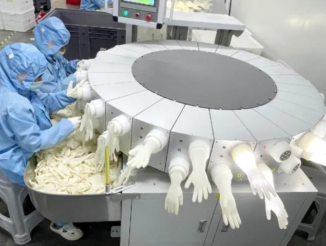 Latex Surgical Glove View 2