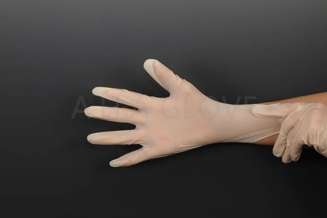 Vinyl Glove 1