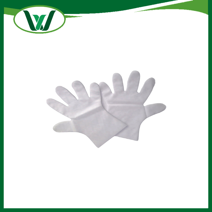 Biodegradable Long Sleeve HDPE LDPE CPE TPE PE Disposable Long Sleeve Plastic Gloves