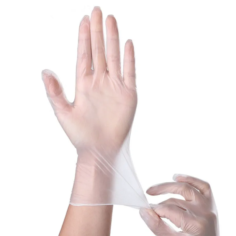 Vinyl Gloves