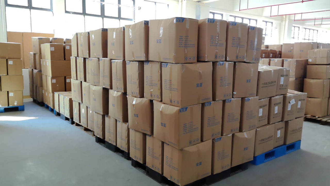 Storage Facility — Climate-Controlled Warehouse for Disposable PVC Gloves