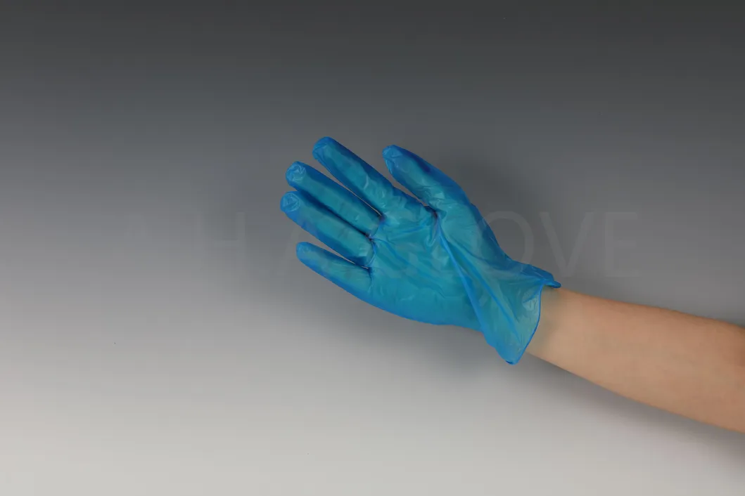 Vinyl Glove 3