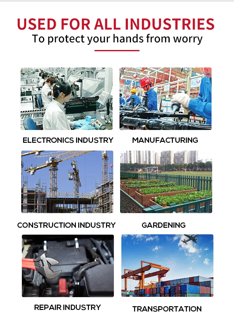 Safety Use Disposable Gloves