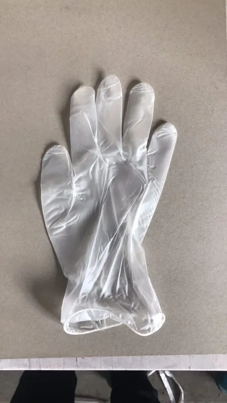 Vinyl Glove 2