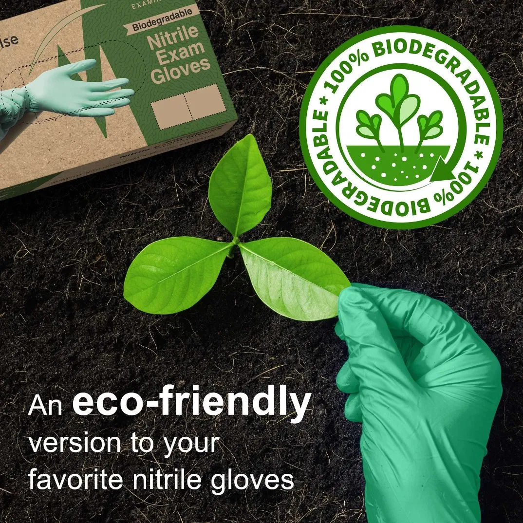 Eco Friendly Powder and Latex Free Disposable Biodegradable Nitrile Gloves