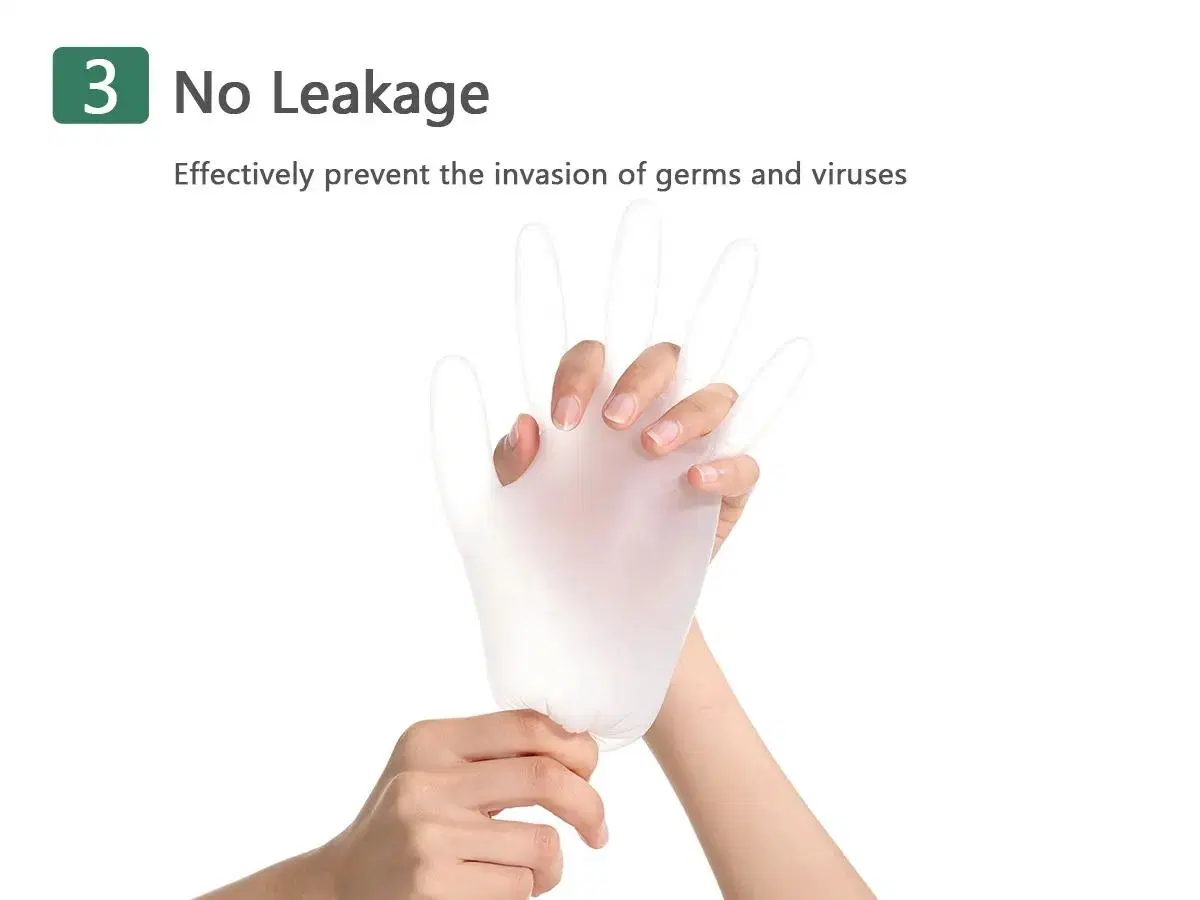 Food Grade Powder Free Disposable Vinyl Gloves Food Service Glove Labor Gloves Guangzhou