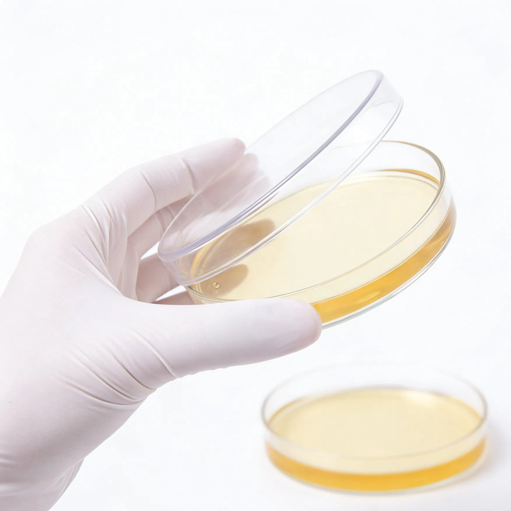 Lab Handling Synthetic White Vinyl Disposable Latex-Free Chemical-Resistant Vinyl Gloves