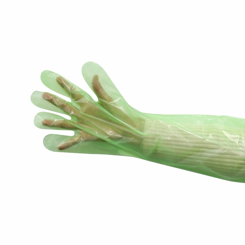 Customized Food Grade Oil-Resistant Long Arm Size Biodegradable Plastic Disposable Gloves