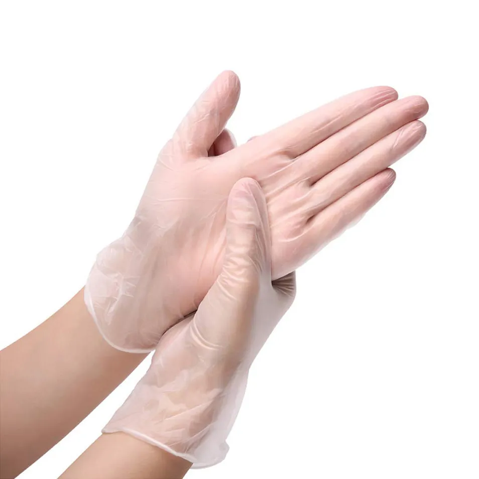 Clear Vinyl Gloves