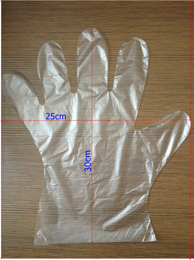 Clear Biodegradable Plastic Disposable Gloves