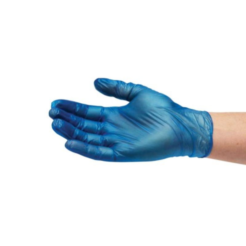Vinyl Gloves Powder-Free Food Safe Disposable PVC Gloves Protective Blue