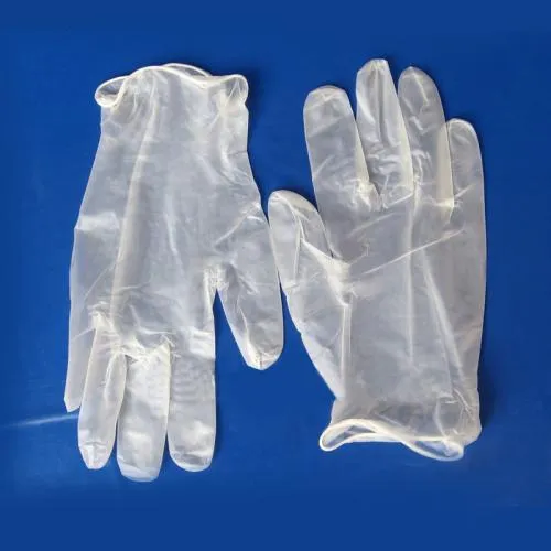 Vinyl Glove 1