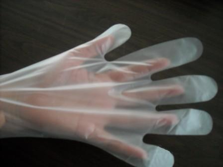 Disposable PE Gloves Food Grade Clear Use Food Housework Cleaning Service Plastic Gloves