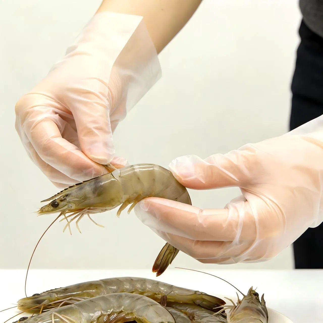 Latex Free TPE Gloves with 500% Stretch for Food-Safe