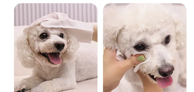 Disposable Pet Cleaning Wipes 2