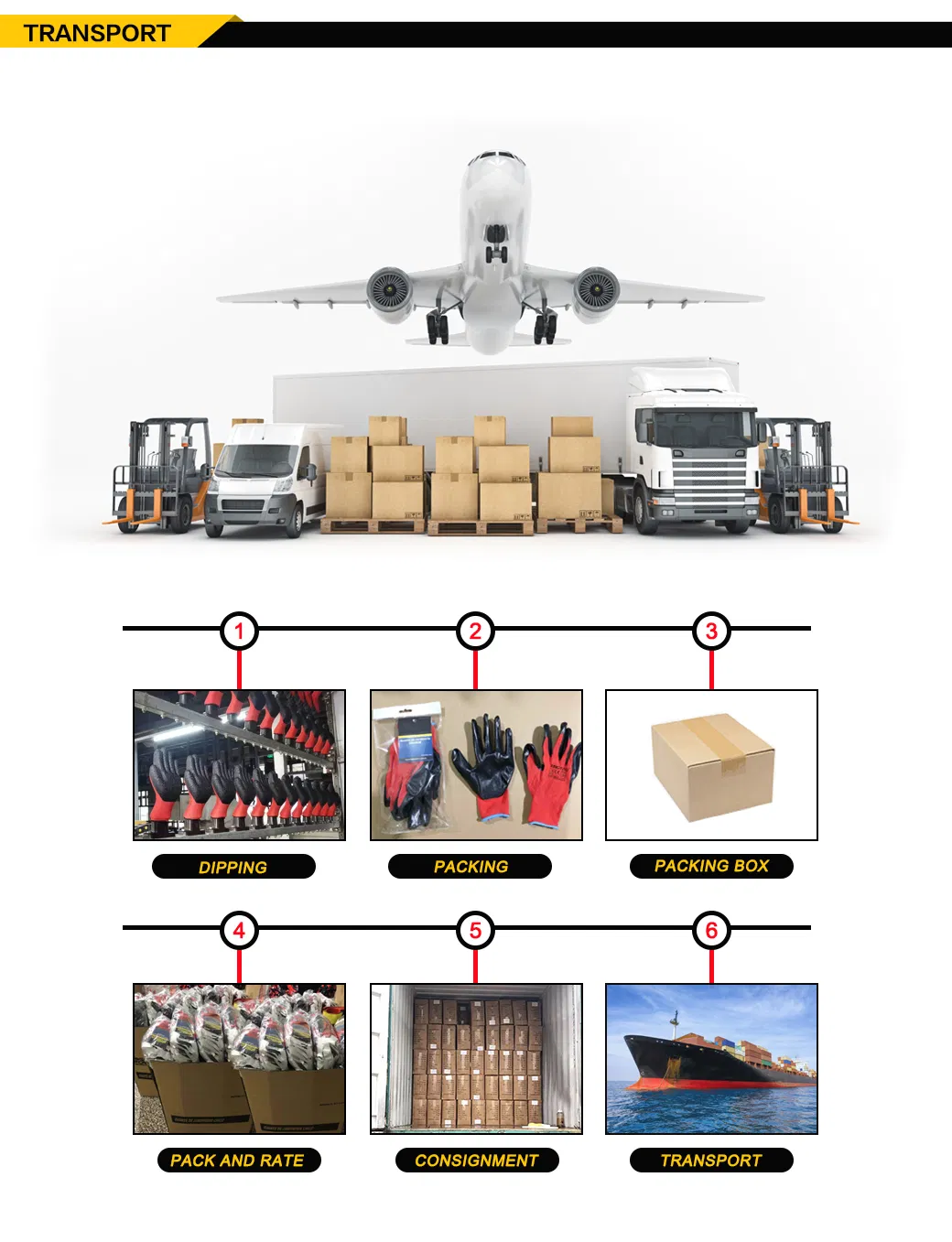 Logistics and Transport