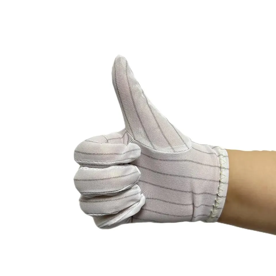Cleanroom Glove Detail 1