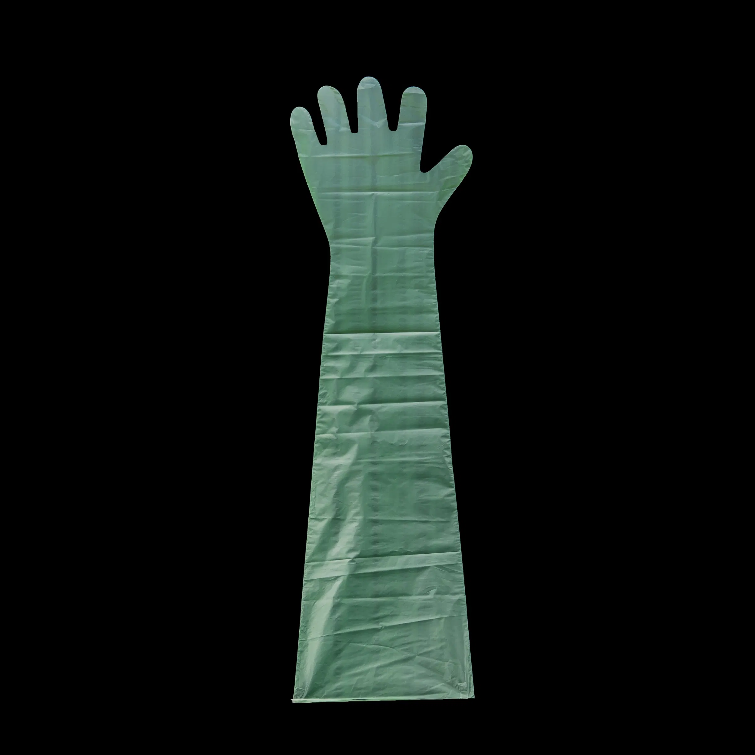 Custom Length Biodegradable Green Color Plastic PE PVC Single Use Industrial Gloves Catering Food Contact Sterile Disposable Gloves