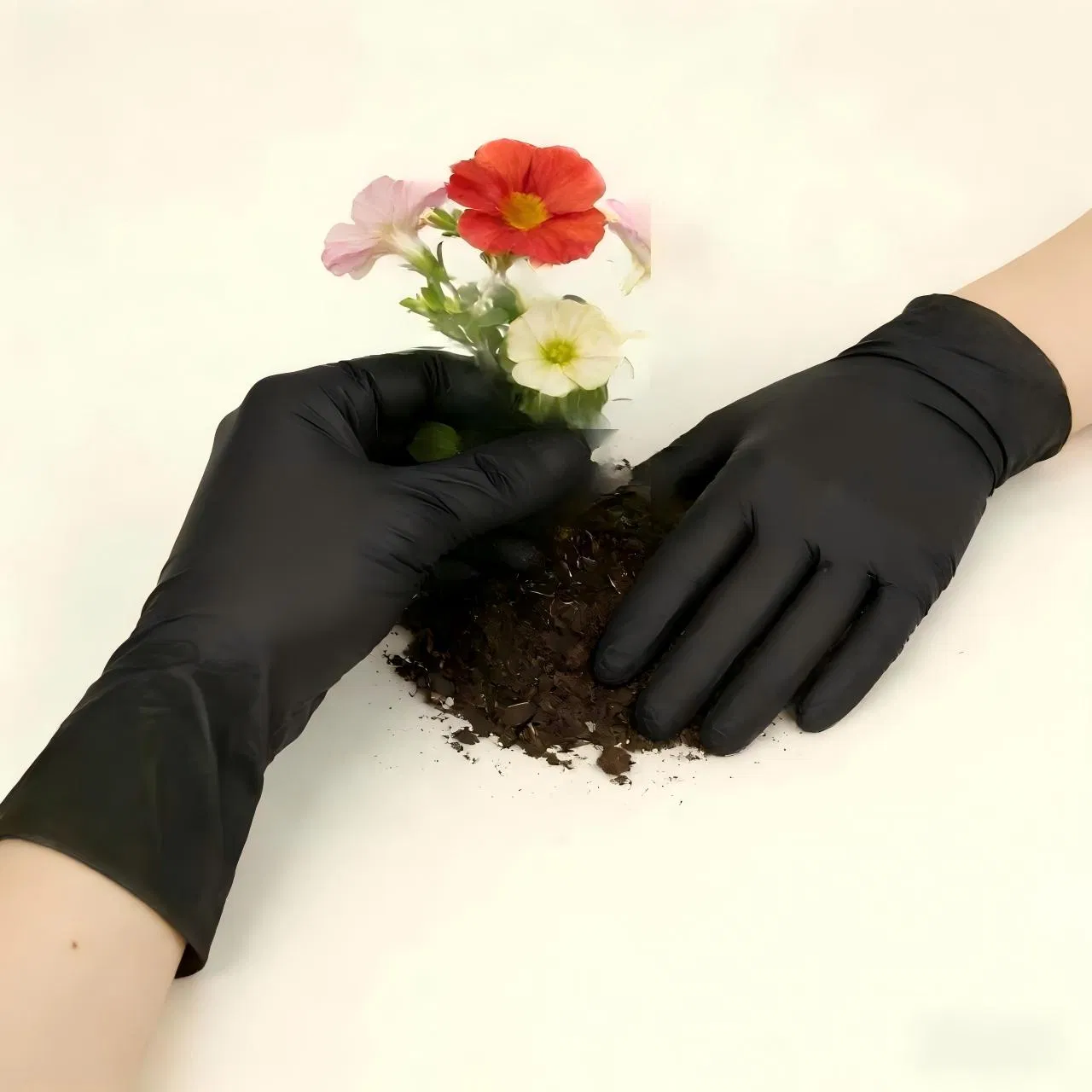 Vitrile/Hybrid/Vinyl Nitrile Blended Black Gloves for Pet Care