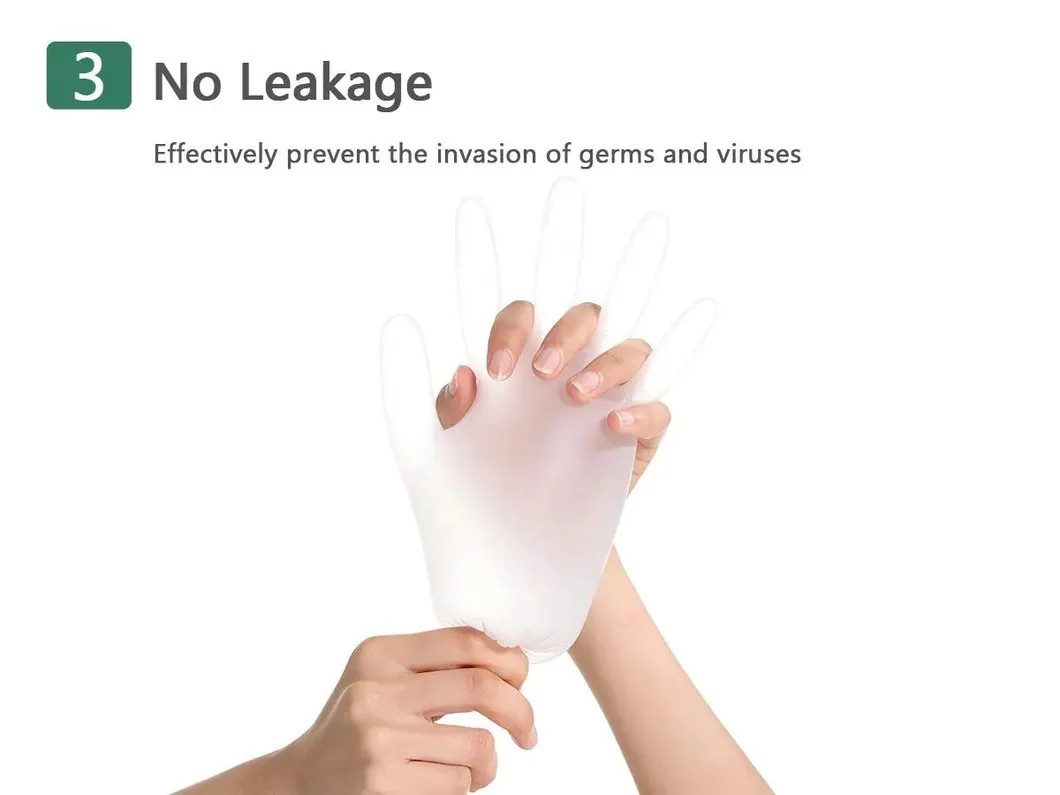 Vinyl Gloves Display 4