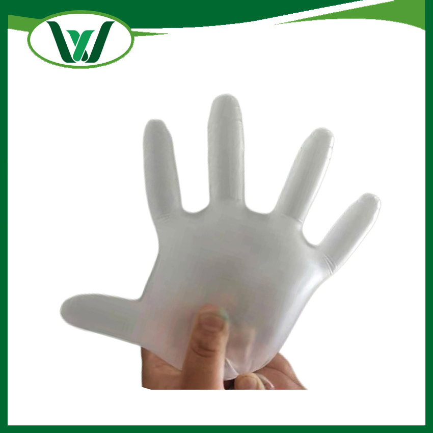 Biodegradable Long Sleeve HDPE LDPE CPE TPE PE Disposable Long Sleeve Plastic Gloves