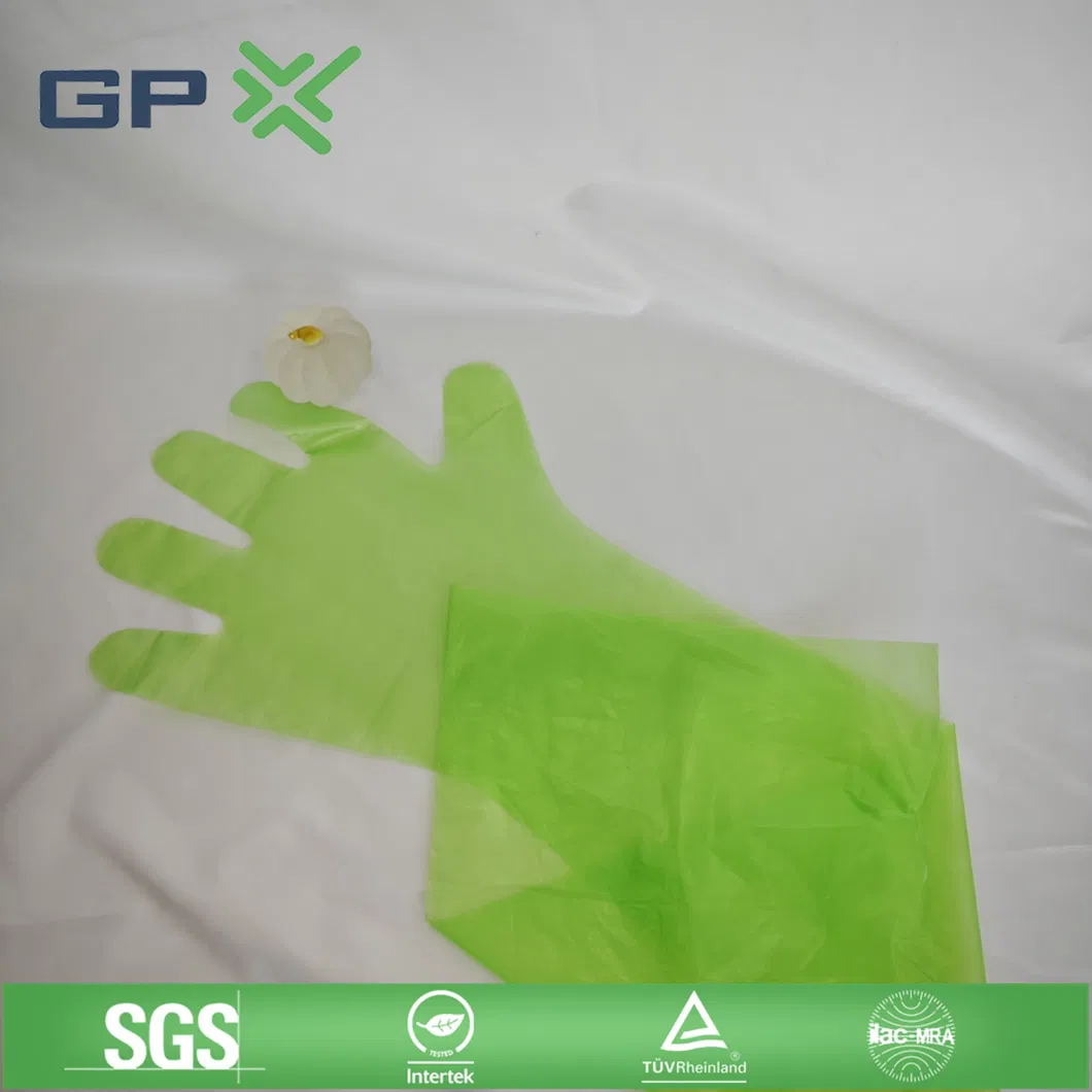 Disposable Biodegradable Gloves