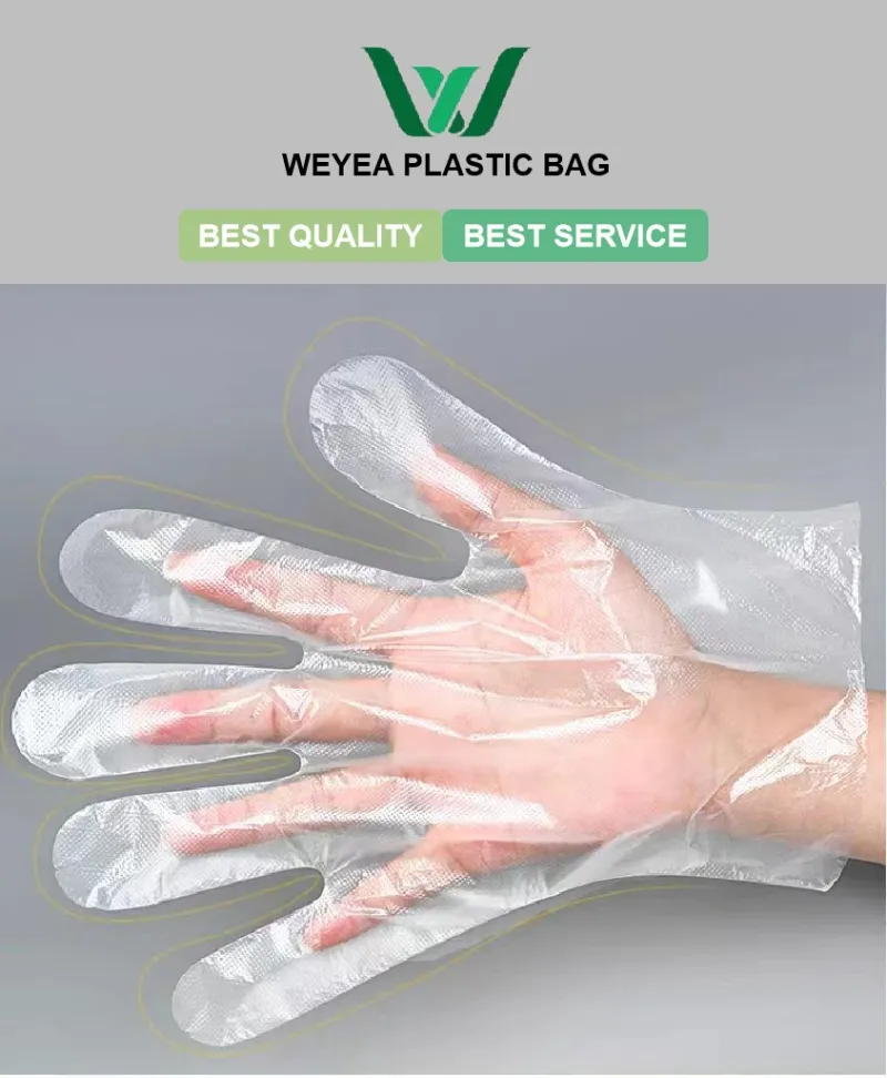 Poly Gloves Main Image
