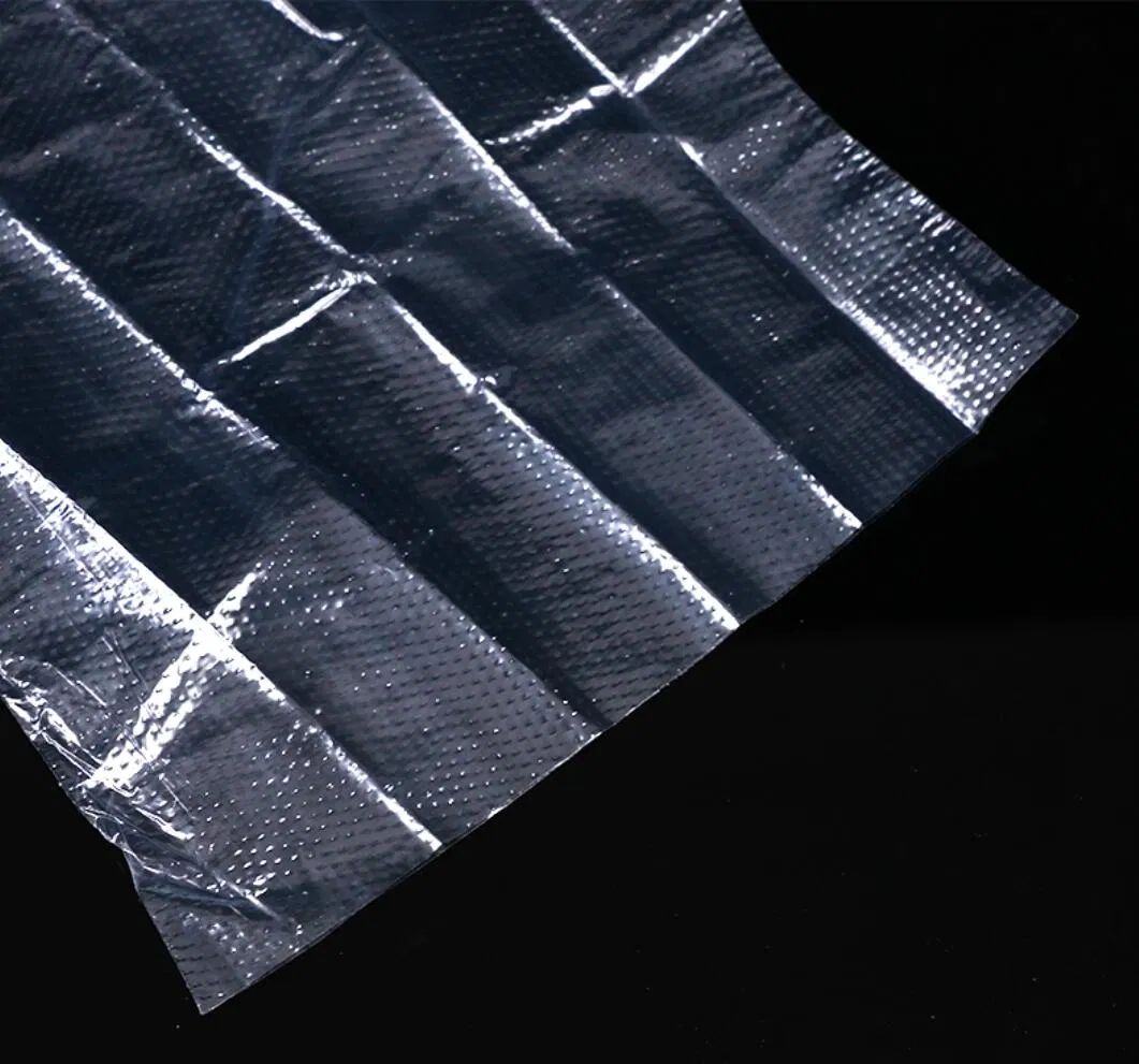 Shenone Factory Wholesale Biodegradable PE Plastic LDPE Disposable Gloves